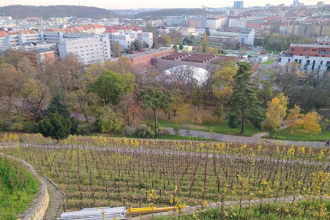 Non-touristy Prague - Cozy Neighborhoods - Private Tour - Vinohrady: calm villas and parks close to the center