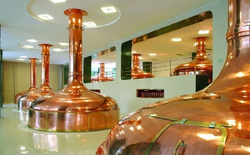 Pilsner Brewery & Nizbor Glass Factory Combination Tour - Practical Tips So Your Day Stays Smooth
