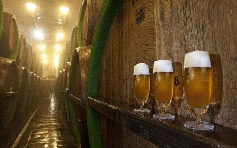 Pilsner Brewery & Nizbor Glass Factory Combination Tour - Getting From Prague to Pilsen: The 8-Hour Reality Check