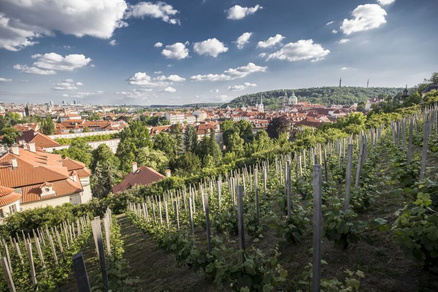 Prague: 3–Hour Castle Grounds Walking Tour and River Cruise - Getting Oriented: Old Town Square to Clementinum