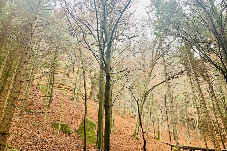 Prague: All-inclusive trip to Bohemian and Saxon Switzerland - Tisa Walls for the Narnia Tour: sandstone pillars and 200 steps