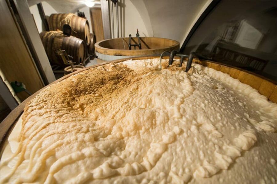 Prague: Beer Tasting and Brewery Tour - Stop 1: Pivovarský dům Benedict and the Structured 8-Beer Tasting