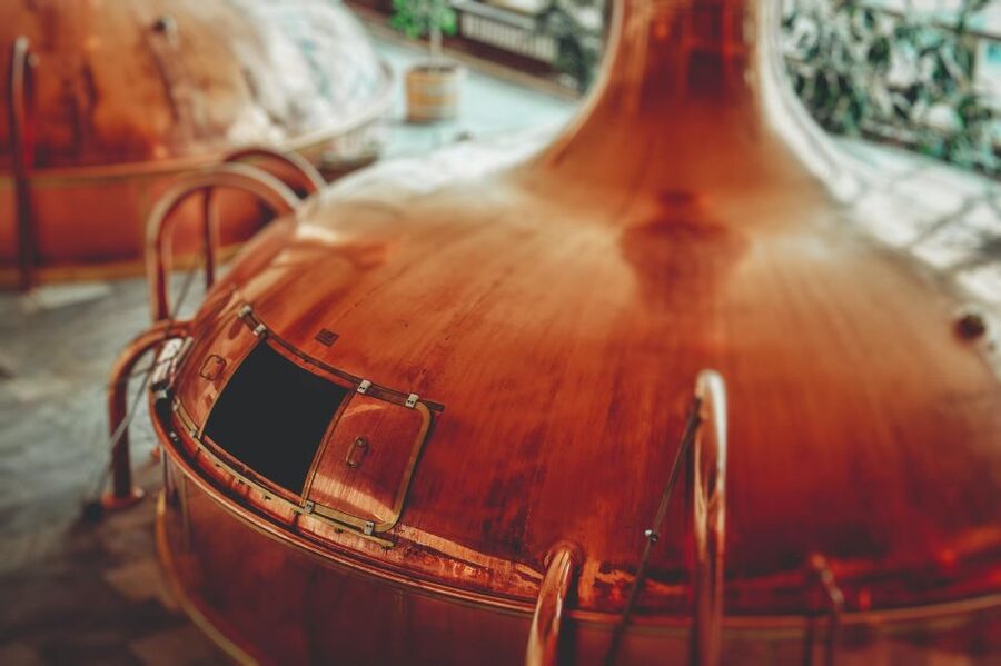 Prague beer tour with brewery visit and tasting - What You Learn: Czech Beer, Pouring, and the Rules of Drinking
