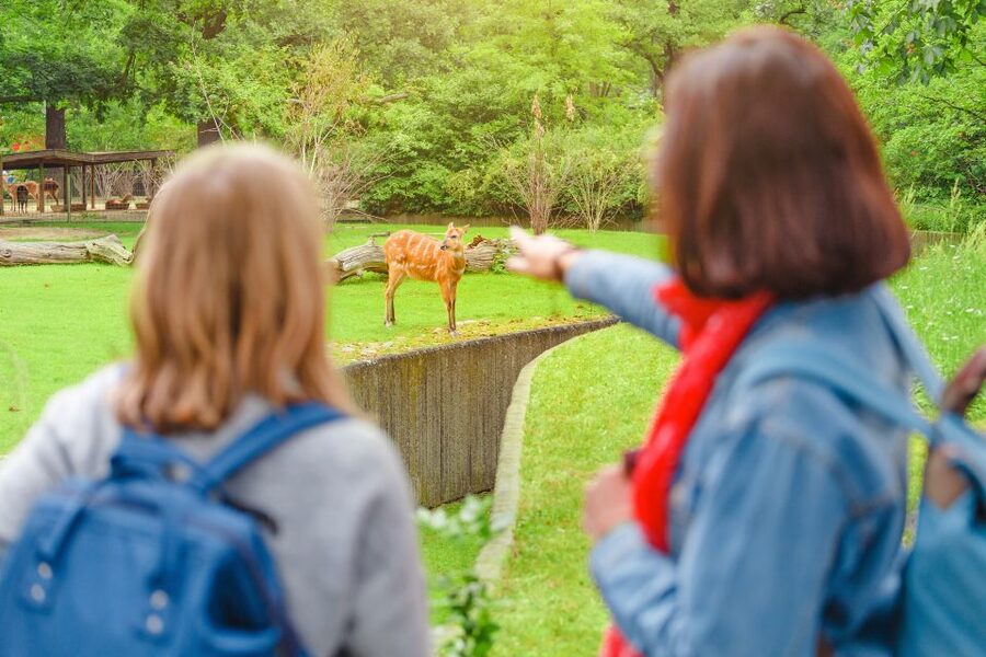 Prague: Boat Ride to the Zoo and Admission Ticket - Arrival at the zoo gate: tickets, map, and a simple way to plan your day