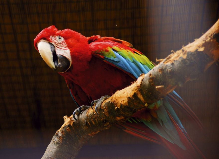 Prague: Boat Ride to the Zoo and Admission Ticket - Price and value: is $74 a fair deal for this day?