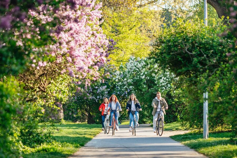 Prague: Complete Bike Tour - New Town link-ups: getting the city’s rhythm, not just its monuments
