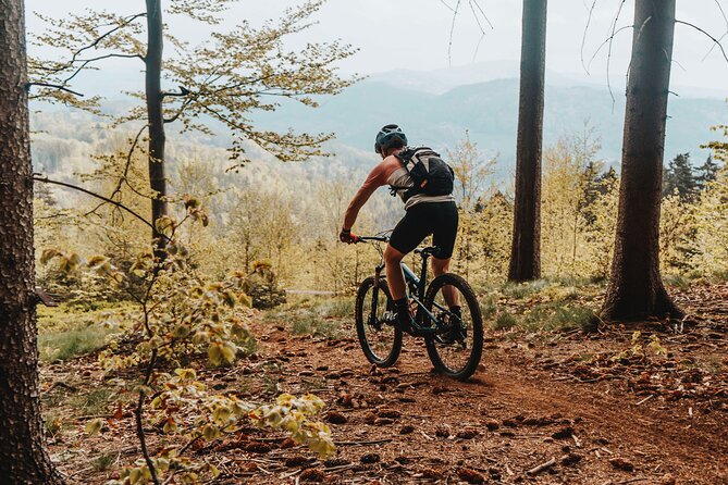 Prague E-Mountain Biking Adventure In The Bohemian Paradise - How hard is the day, really? Fitness tips that keep it fun