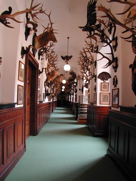 Prague: Karlštejn Castle Guided Tour with Entry Ticket - Price and value: is $80 worth it?