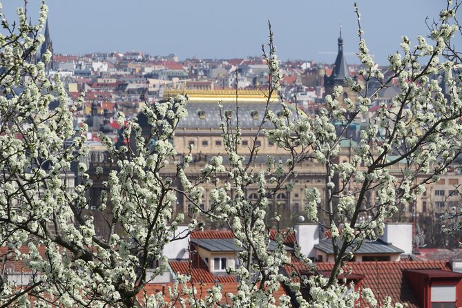 Prague Literary & Historical Tours - Literature Route - A Two-Hour Literature Walk That Moves Back Through Time