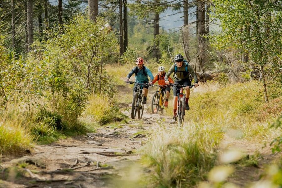Prague Mountain Biking: Blast Through The Best Singletracks - Trains Back to Prague: Less Stress, More Freedom