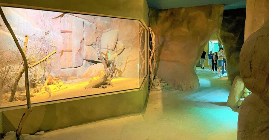 Prague: Prague Zoo Audio Guide with E-Ticket - Prague Zoo Audio Guide with E-Ticket: what you’re really buying