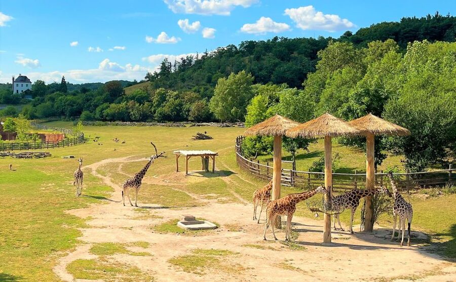Prague: Prague Zoo Audio Guide with E-Ticket - FAQ
