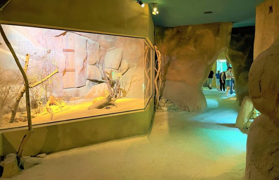 Prague: Prague Zoo Audio Guide with E-Ticket - Getting your e-ticket and finding the right starting point