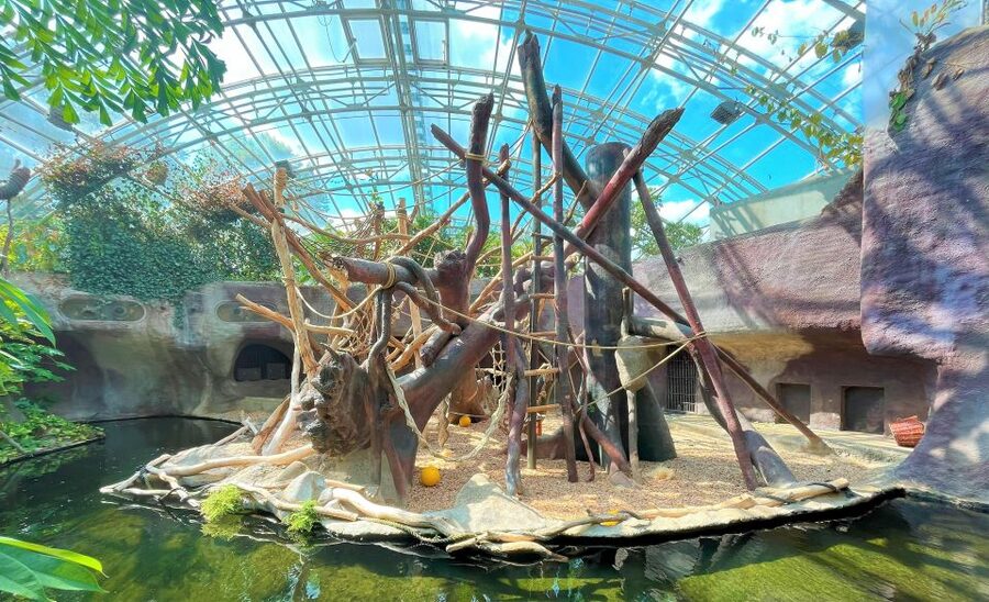 Prague: Prague Zoo Audio Guide with E-Ticket - Your self-guided walking plan: how the day usually flows