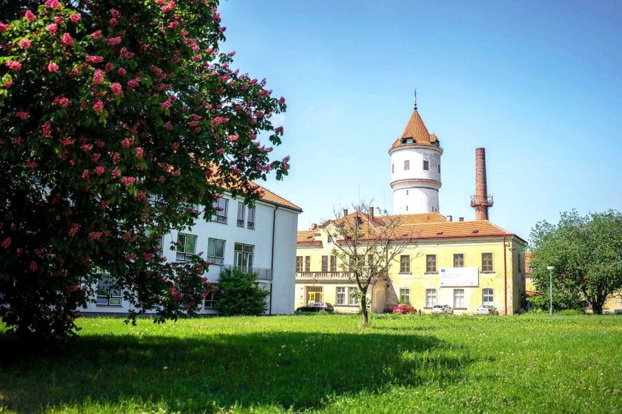 Prague: Psychiatric Hospital and Abandoned Cemetery Tour - Key highlights you’ll care about