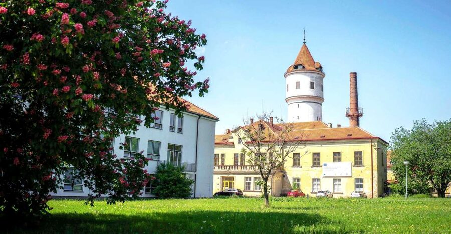 Prague: Psychiatric Hospital and Abandoned Cemetery Tour - A 3-hour route that actually makes sense (and how to pace yourself)