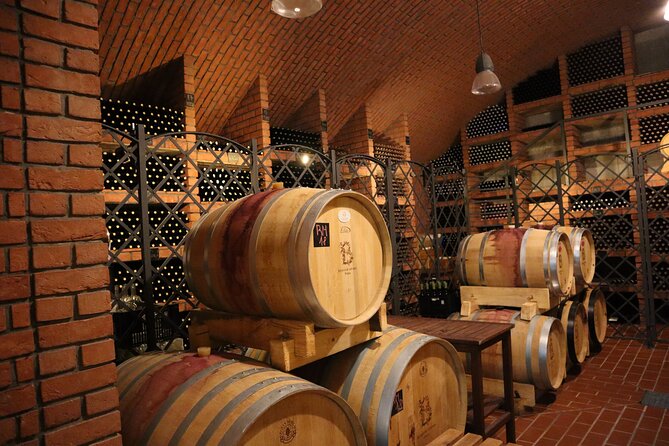 Prague´s Hidden Vineyards Private Tour - The wine house terrace: guided tastings with local cheese pairing