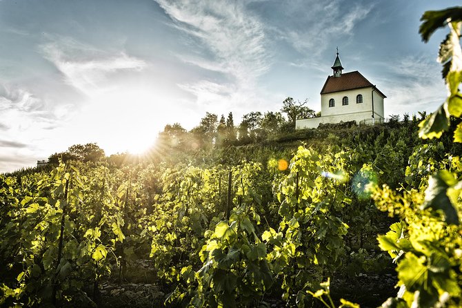 Prague´s Hidden Vineyards Private Tour - Price and value: is $240.66 per person worth it?
