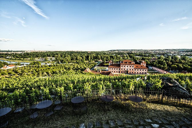 Prague´s Hidden Vineyards Private Tour - Grebovka Wine Cellar: the residential vineyard walk that starts the day right