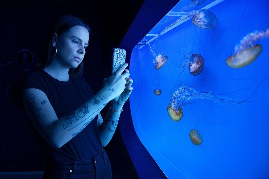 Prague: The World Of Jellyfish Entry Ticket w/ Drink - Best-fit visitors: who will love this, and who might feel shortchanged