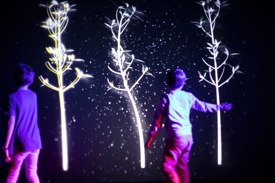 Prague: Ticket to Audiovisual Light Art at Lumia Gallery - Should you book this Lumia Gallery ticket?