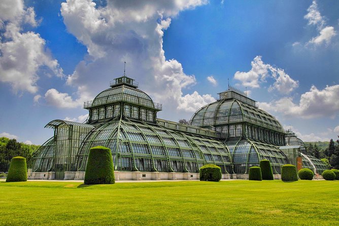 Prague to Vienna - Private Transfer with 2 hours of Sightseeing - Driver style: helpful and local, with a few clear limits