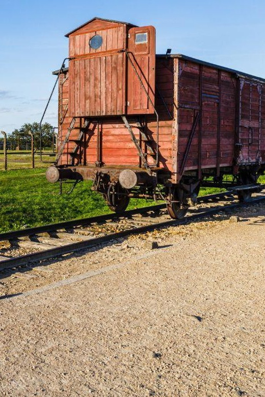 Prague: Tour to Auschwitz Birkenau - Private-group feel: pickup comfort, attention, and driver support