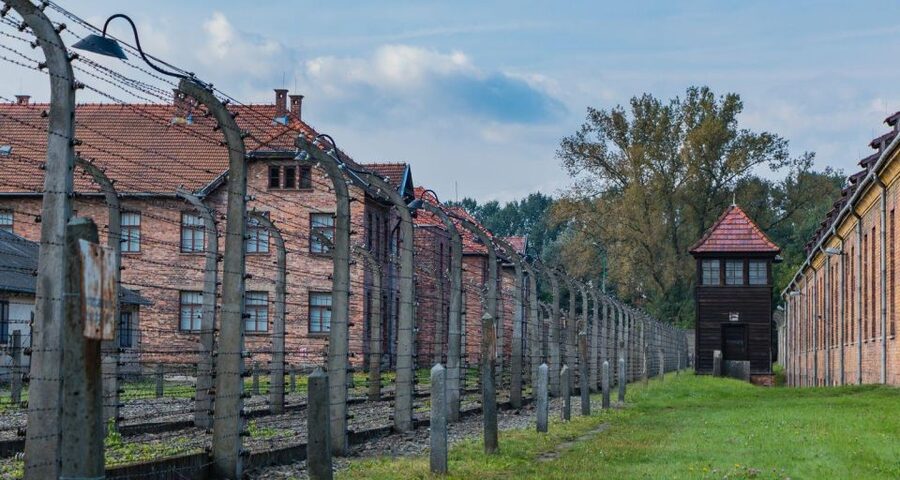 Prague: Tour to Auschwitz Birkenau - Lunch, reflection time, and how to protect your focus
