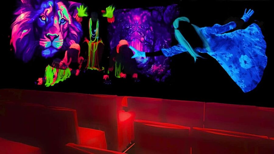 Prague: Underground Black Light Theatre Interactive Show - Rules you should know before you enter