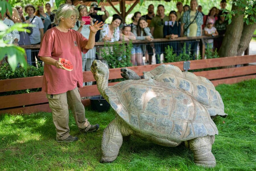 Prague Zoo: Skip-the-Line Entry Ticket - The Zoo’s Size: How Nearly 5,000 Animals Changes Your Planning
