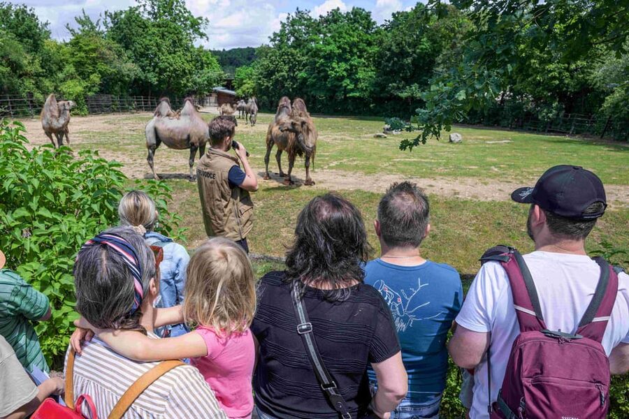 Prague Zoo: Skip-the-Line Entry Ticket - Rules You Should Know Before You Arrive (So You Don’t Get Stuck)