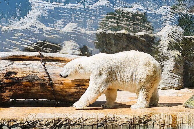 Prague Zoo Ticket with Online Audio Guide - Key highlights you’ll feel right away