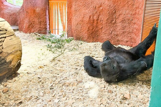 Prague Zoo Ticket with Online Audio Guide - Prague Zoo in Troja: why this place pulls you in