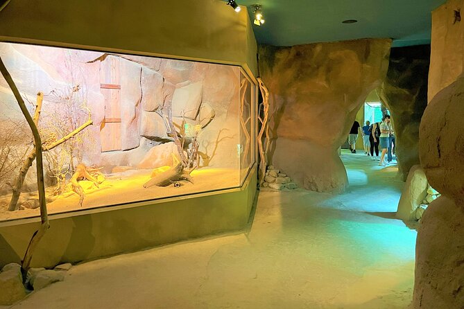 Prague Zoo Ticket with Online Audio Guide - Should you book this Prague Zoo audio ticket?