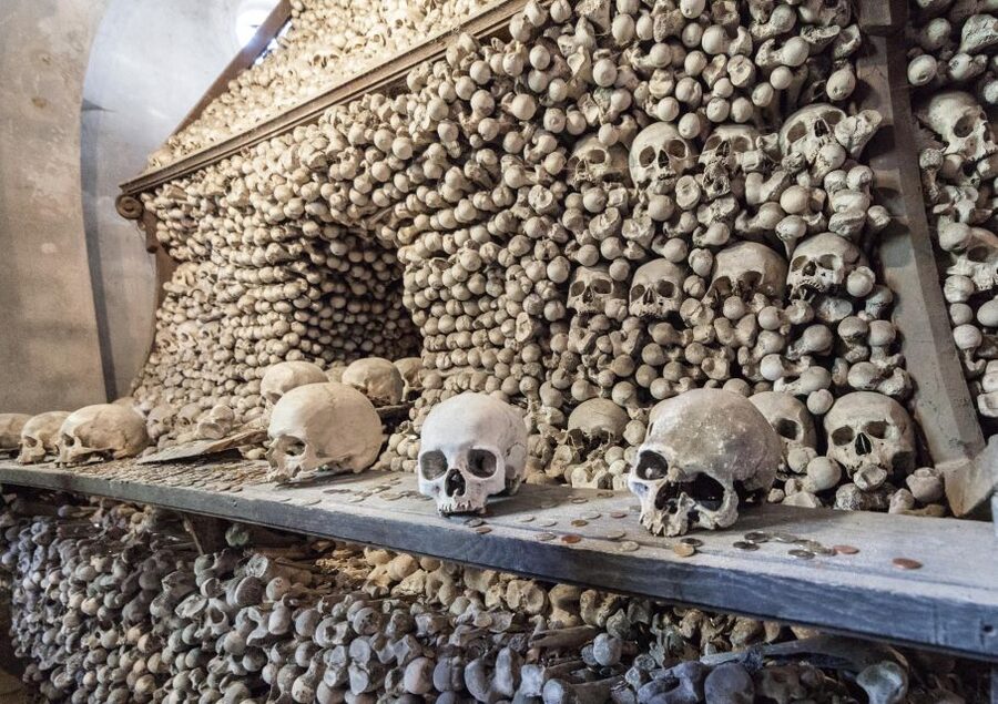 Private Guided Tour from Prague to UNESCO Kutna Hora - Should you book this Prague-to-Kutná Hora private tour?