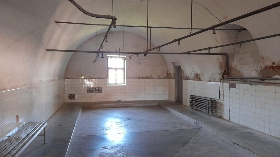 Private Half-Day Tour To Terezin Concentration Camp - Small Fortress: the Gestapo prison route through cells and courtyards