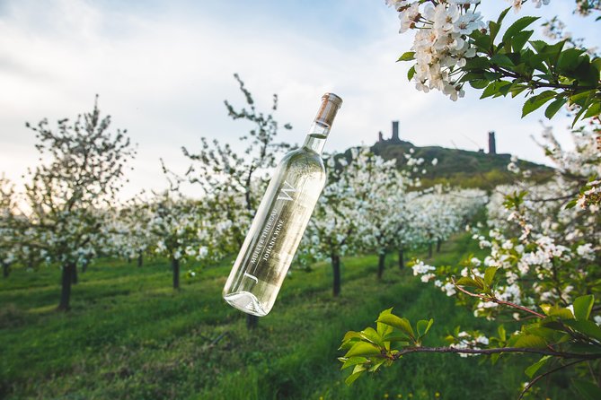 Private PICNIC in Bohemian Vineyards and Wine Tasting 4WD Tour - Key points at a glance