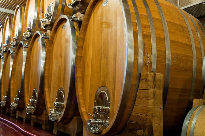 Private PICNIC in Bohemian Vineyards and Wine Tasting 4WD Tour - Why this Prague wine day feels different from the usual tours