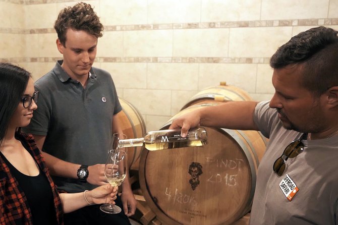 Private PICNIC in Bohemian Vineyards and Wine Tasting 4WD Tour - Johann W in Trebívlice: the cellar excursion and wine tasting core