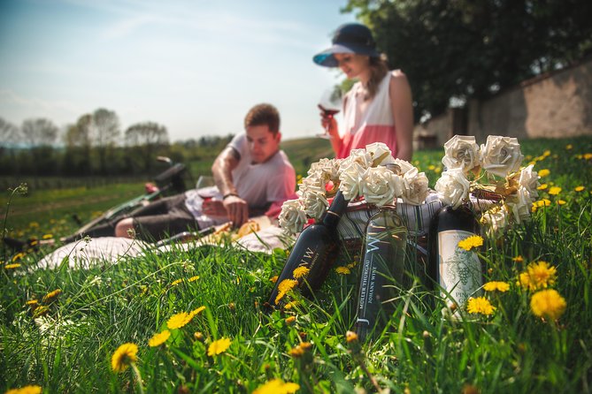 Private PICNIC in Bohemian Vineyards and Wine Tasting 4WD Tour - Hotel pickup and private 4x4 transport: less friction, more countryside