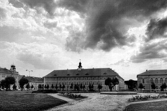 Private Terezin Nazi camp tour from Prague All-Inclusive - Who this fits best (and who might want a different format)
