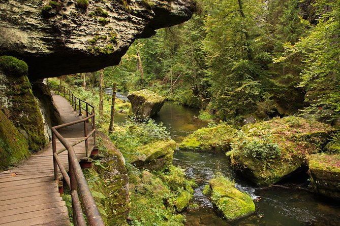 Private Tour to Czech-Saxon Switzerland National Park - What your guide actually does for you (and why it changes the day)