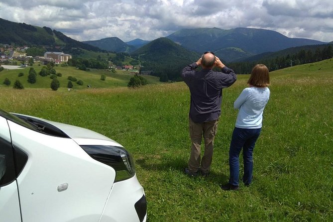Private transfer in a Sanitized Car Prague to Vienna with 2h stop Cesky Krumlov - Who should book this transfer, and who might not love it