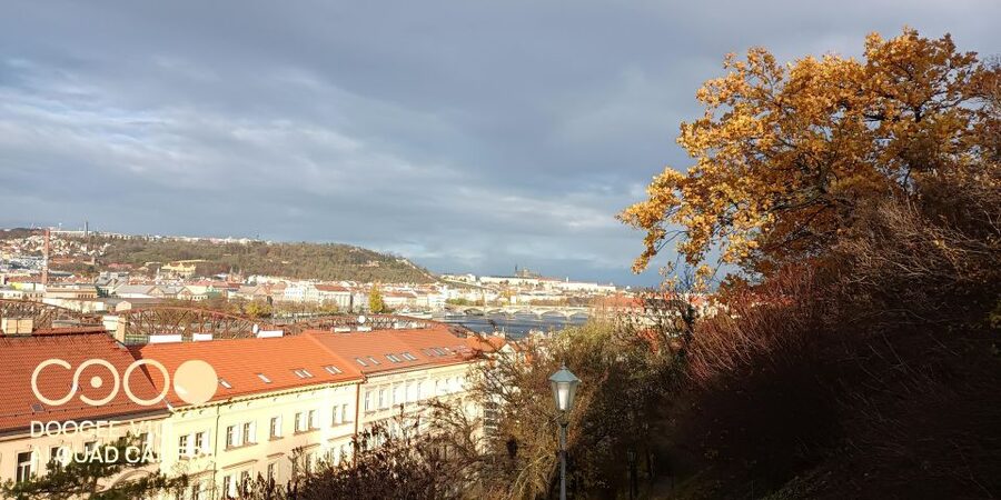 Real life in Prague - Easy Walk from Vysehrad to Vyton - Who should book this dog-walk story stroll (and who shouldn’t)