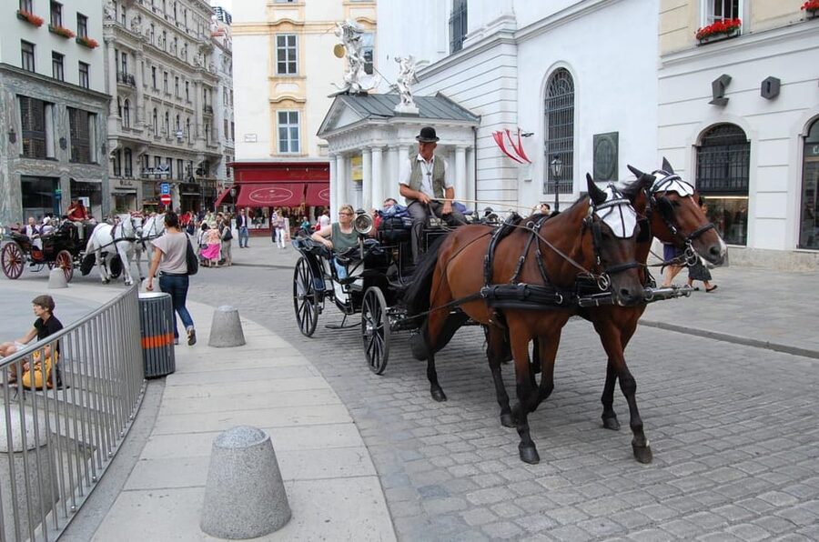 Vienna Full Day Tour from Prague - Price and value: what you pay for (and what you don’t)