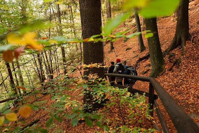 VIP Best Reviews: Bohemian & Saxon Switzerland from Prague - Bastei Bridge: the fixed highlight you should build your day around