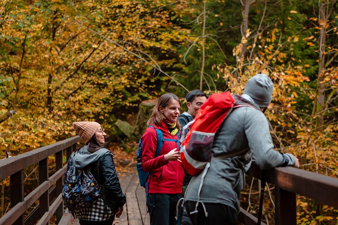 VIP Best Reviews: Bohemian & Saxon Switzerland from Prague - Guides, safety, and small-group comfort that actually matter