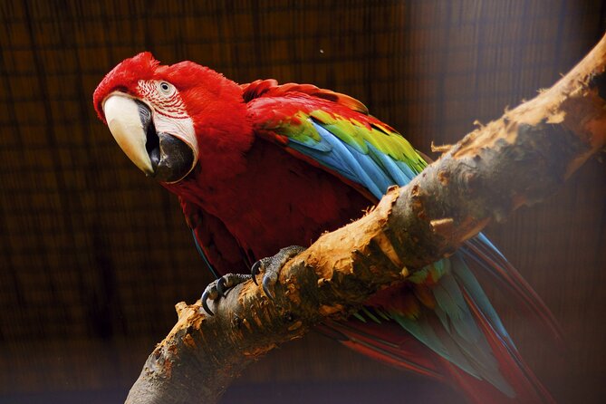 Vltava River Boat Trip and Zoo Entrance Ticket in Prague - $78.25 value check: does this combo pay off?