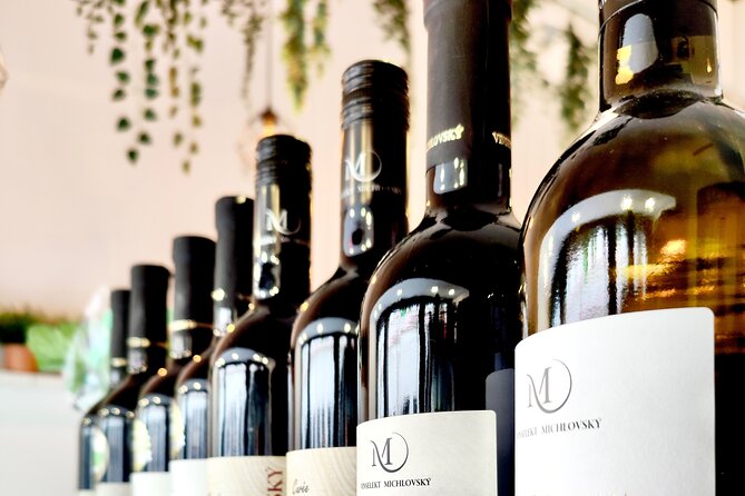 Wine Tasting and History Prague - A 3:00 pm wine-history walk that starts in Staré Město