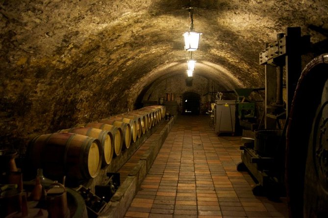 Wine Tasting Day Trip from Prague to Melnik - Key things you’ll notice on this Mělník wine day trip